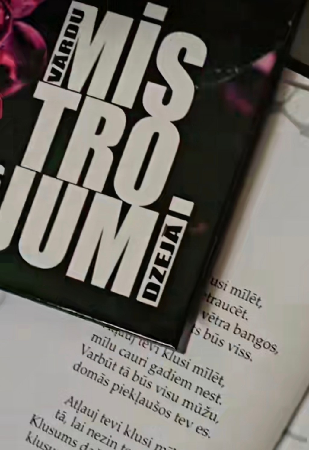 Ineses Strautmales dzejas mistrojumi&nbsp;dzejā